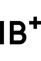 Itten Brechbuehl Icon